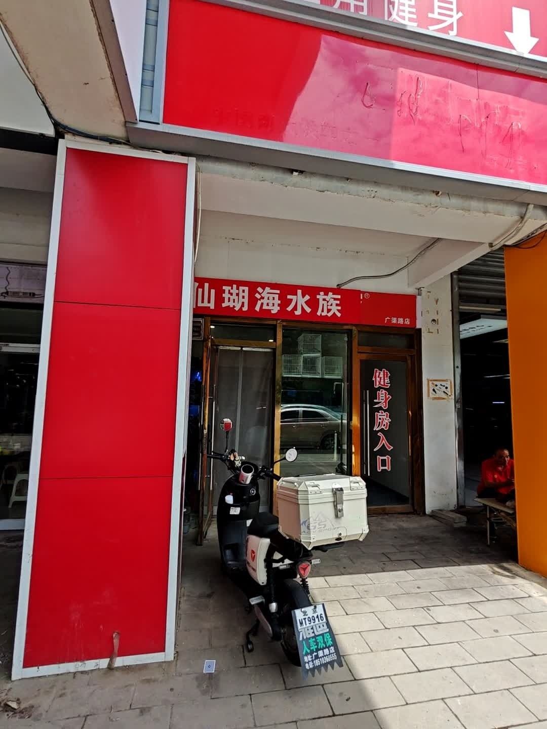 仁布哪個水族館龍魚好？祥龍魚場龍魚（仁布哪個水族館的龍魚好） 仁布哪個水族館龍魚好？祥龍魚場龍魚（仁布哪個水族館的龍魚好） 龍魚百科 第9張