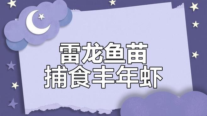 彩虹雷龍魚苗吃什么？（彩虹雷龍魚苗正確的喂養方式） 彩虹雷龍魚苗吃什么？（彩虹雷龍魚苗正確的喂養方式） 龍魚百科 第1張