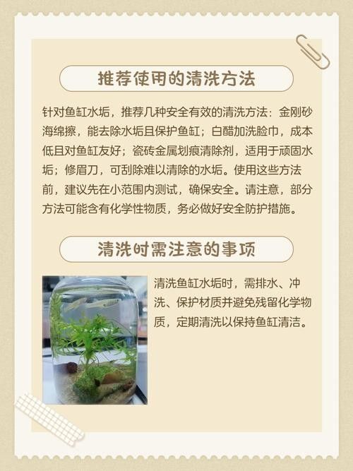 清洗魚缸時需要注意哪些事項（天山可可，如何正確清洗魚缸）