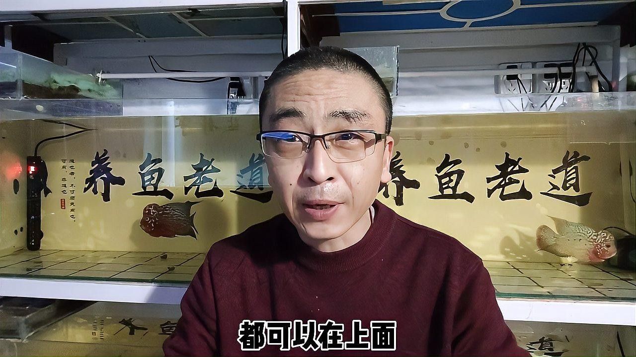 清洗魚缸時需要注意哪些事項（天山可可，如何正確清洗魚缸）