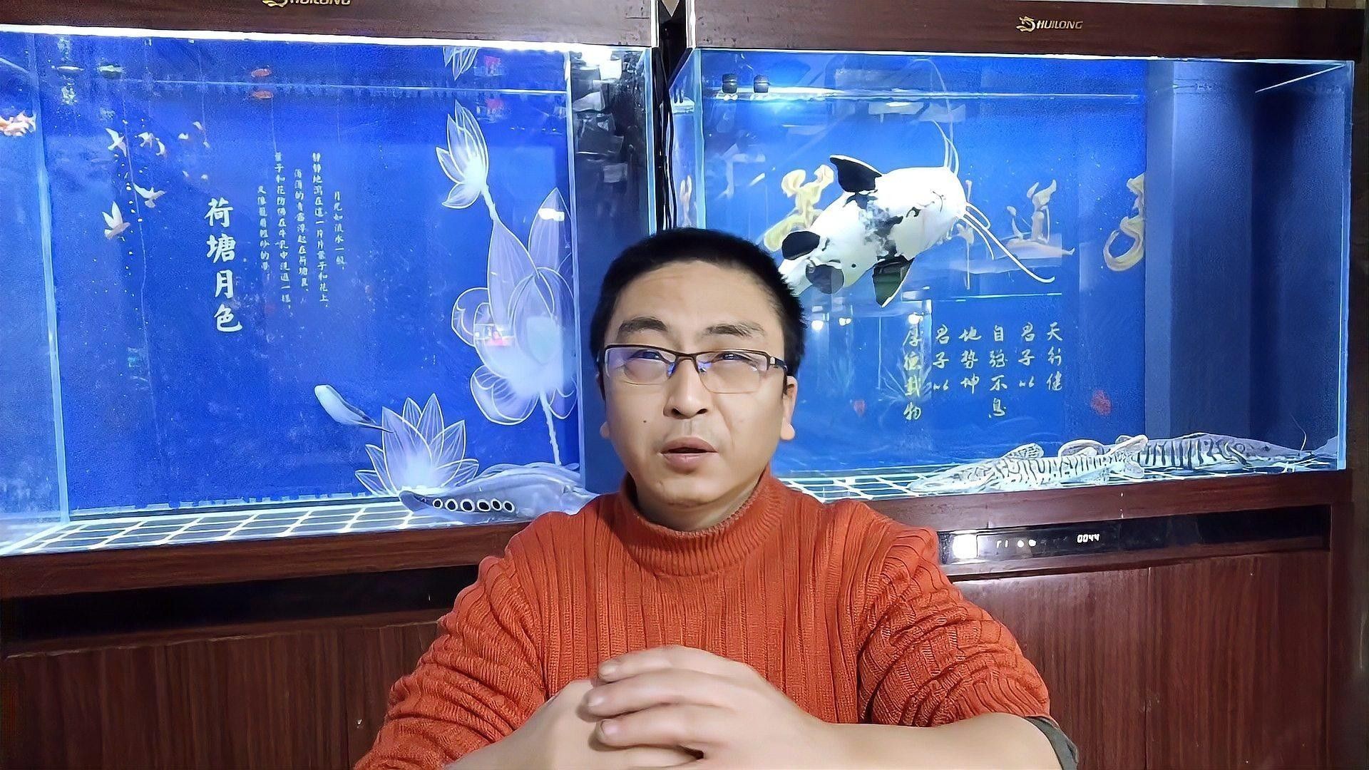 清洗魚缸時需要注意哪些事項（天山可可，如何正確清洗魚缸）