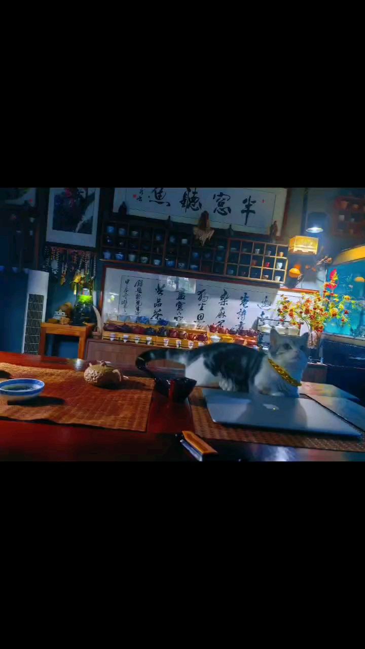 我在高校的日子……（大學生活是一段充滿挑戰和機遇的時光，它讓我變得更加成熟和）