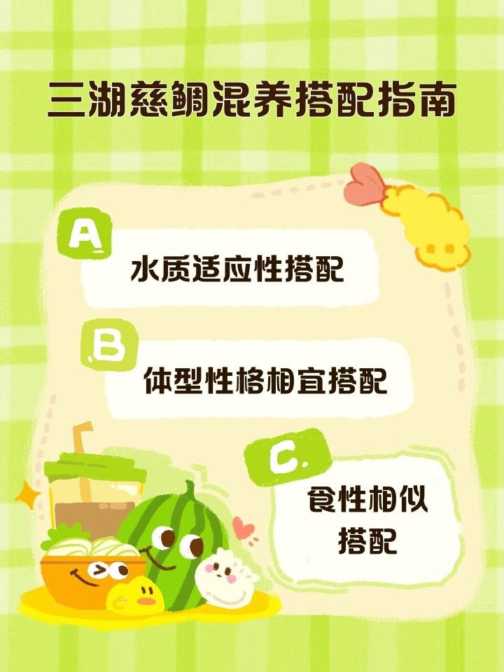 三湖慈鯛的最佳混養(yǎng)伙伴（三湖慈鯛可以混養(yǎng)嗎）