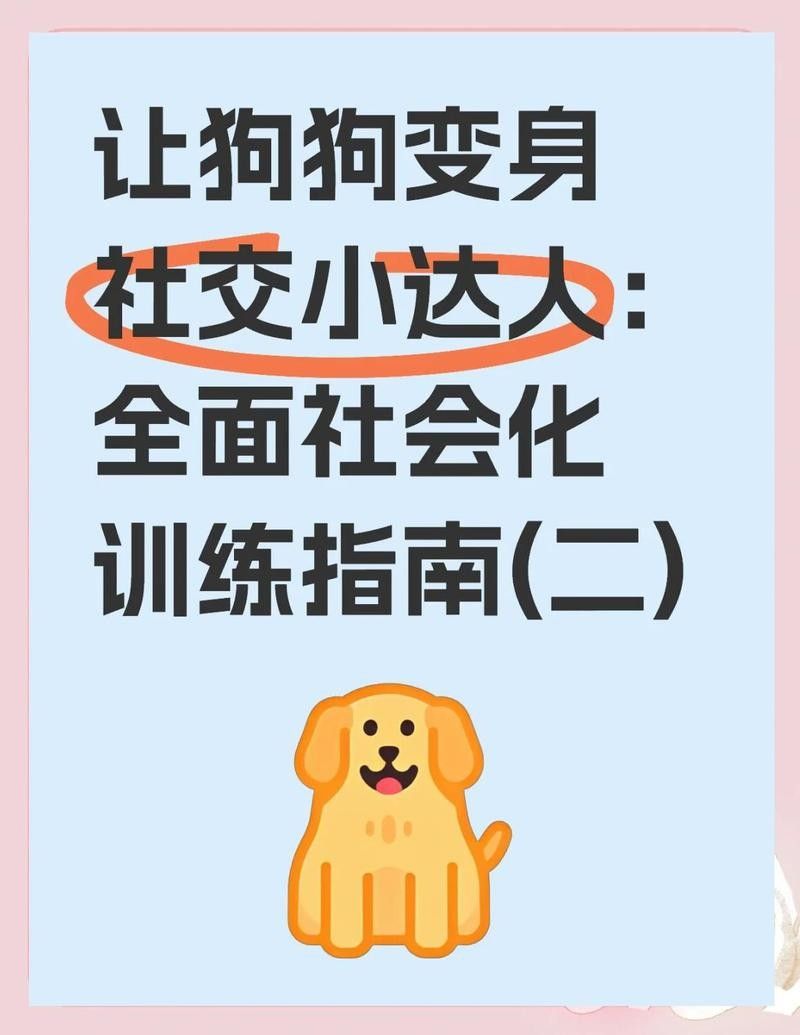 紅龍犬成年后還需要進行社會化嗎（紅龍犬成年后還需要繼續社會化訓練嗎）