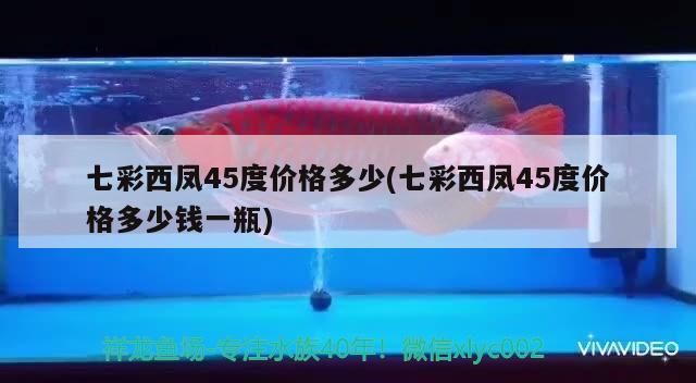 七彩西鳳45度價格多少(七彩西鳳45度價格多少錢一瓶)（七彩西鳳45度價格多少）