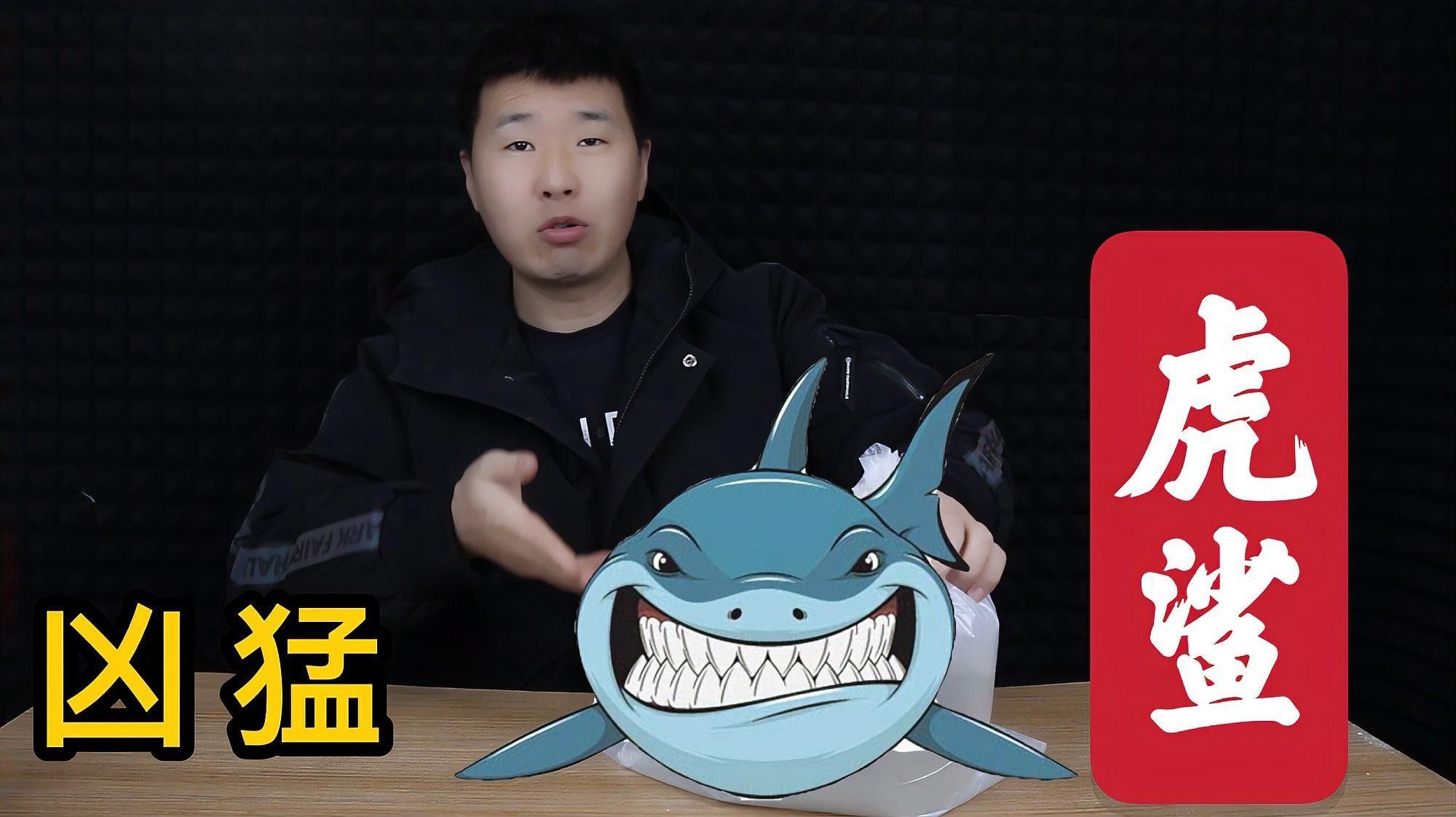 龍魚和虎頭鯊多久會(huì)適應(yīng)彼此？（龍魚和虎頭鯊多久會(huì)適應(yīng)彼此，）