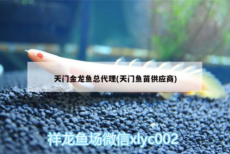 世界上最大的金龍魚有多大（世界上最大的金龍魚有多大?）（世界上最大的金龍魚體型巨大的金龍魚體型遠超過這個平均值）