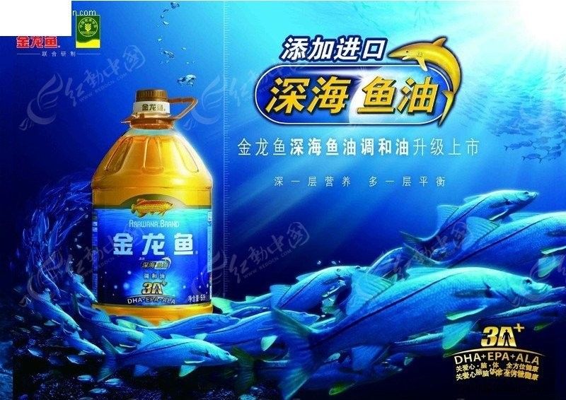 金龍魚廣告圖片高清下載（金龍魚廣告圖片高清下載資源整理金龍魚深海魚油海報）