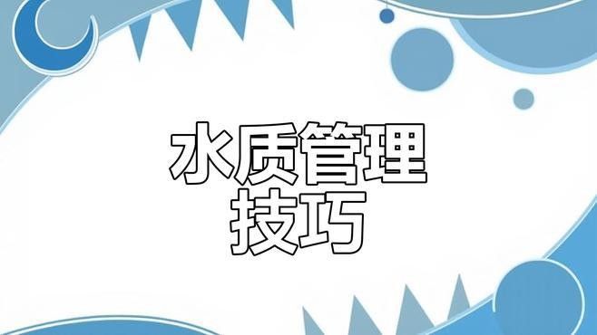 繁殖期間需要多久換一次水？（斗魚繁殖期間換水頻率與食物殘渣清理方法你了解嗎）