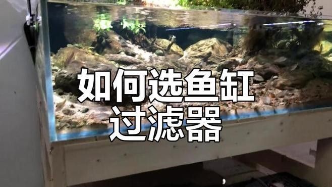 外置濾桶和底濾哪個更好？（外置濾桶和底濾各有優(yōu)缺點）