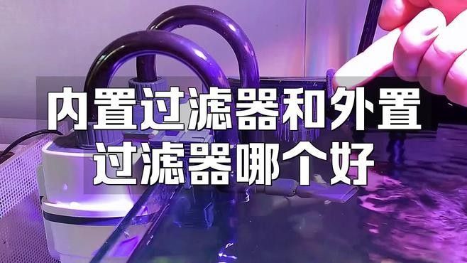 外置濾桶和底濾哪個更好？（外置濾桶和底濾各有優(yōu)缺點）