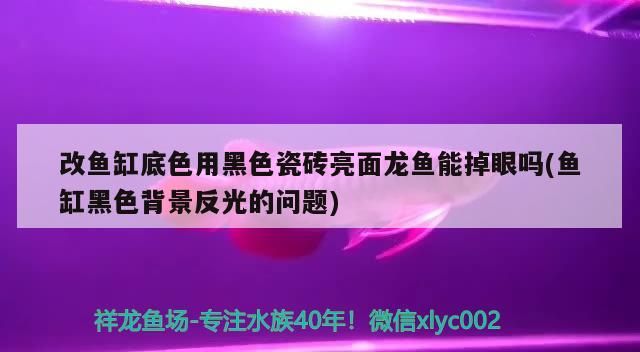 改魚缸底色用黑色瓷磚亮面龍魚能掉眼嗎(魚缸黑色背景反光的問題) 改魚缸底色用黑色瓷磚亮面龍魚能掉眼嗎(魚缸黑色背景反光的問題) 觀賞魚百科