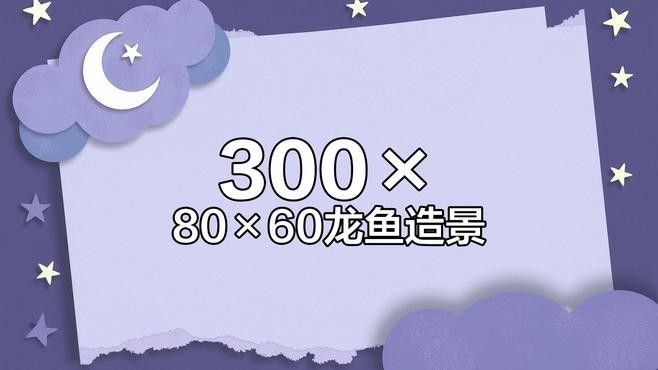 紅龍魚缸造景需要哪些工具？