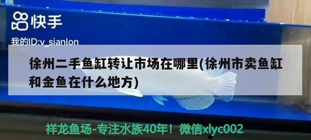 <strong><mark>徐州</mark></strong>二手魚缸轉(zhuǎn)讓市場在哪里(<strong><mark>徐州</mark></strong>市賣魚缸和金魚在什么地方)（<strong><mark>徐州</mark></strong>二手魚缸轉(zhuǎn)讓市場在哪里<strong><mark>徐州</mark></strong>二手魚缸轉(zhuǎn)讓市場在哪里）