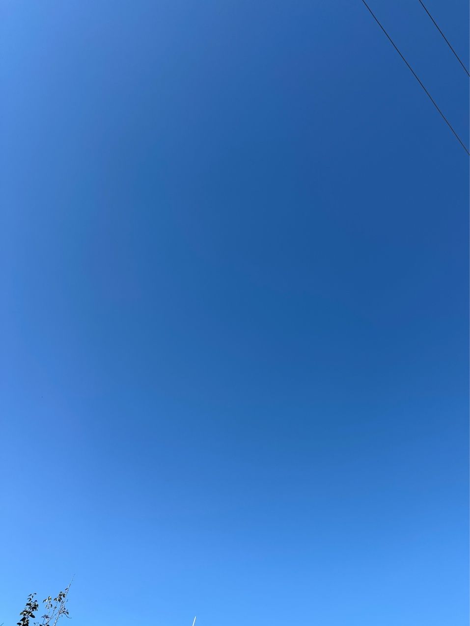 看看天（《探索天空的奧秘》）