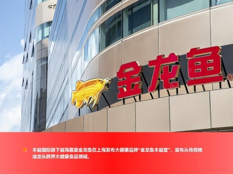 金龍魚的高端產品線有哪些