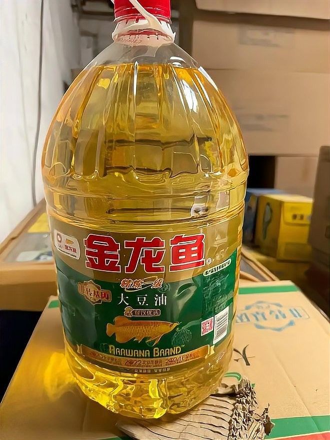 金龍魚的高端產品線有哪些