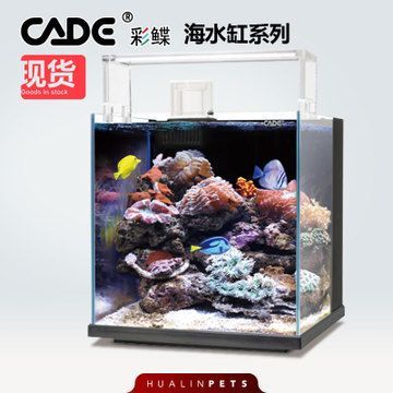 彩鰈水族有限公司官網(wǎng):彩鰈水族有限公司官網(wǎng)信息并未直接給出 觀賞魚百科 第1張 彩鰈水族有限公司官網(wǎng):彩鰈水族有限公司官網(wǎng)信息并未直接給出 彩鰈水族有限公司官網(wǎng):彩鰈水族有限公司官網(wǎng)信息并未直接給出 觀賞魚百科 第1張