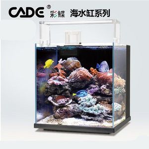 彩鰈水族有限公司官網(wǎng):彩鰈水族有限公司官網(wǎng)信息并未直接給出 觀賞魚百科 第4張 彩鰈水族有限公司官網(wǎng):彩鰈水族有限公司官網(wǎng)信息并未直接給出 彩鰈水族有限公司官網(wǎng):彩鰈水族有限公司官網(wǎng)信息并未直接給出 觀賞魚百科 第4張