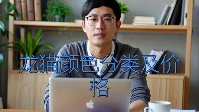 白色龍貓有哪些品種（白色龍貓的種類）