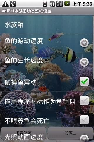 哪里可以找到高清龍魚動態壁紙（如何找到高清龍魚動態壁紙）