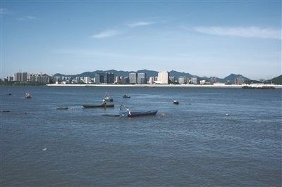 杭州龍魚市場的營業(yè)時間是（杭州龍魚市場的營業(yè)時間是每天9點至下午6點至下午6點） 杭州龍魚市場的營業(yè)時間是（杭州龍魚市場的營業(yè)時間是每天9點至下午6點至下午6點） 龍魚百科 第2張