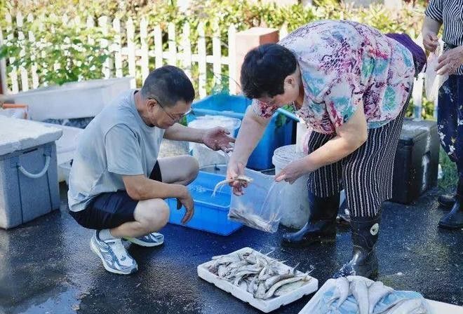 杭州龍魚市場的營業(yè)時間是（杭州龍魚市場的營業(yè)時間是每天9點至下午6點至下午6點） 杭州龍魚市場的營業(yè)時間是（杭州龍魚市場的營業(yè)時間是每天9點至下午6點至下午6點） 龍魚百科 第1張