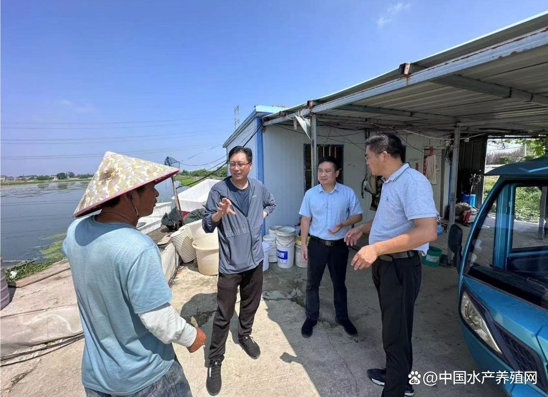 如何預防龍魚用藥過量？（_大口黑鱸常見病害防控及用藥減量技術）