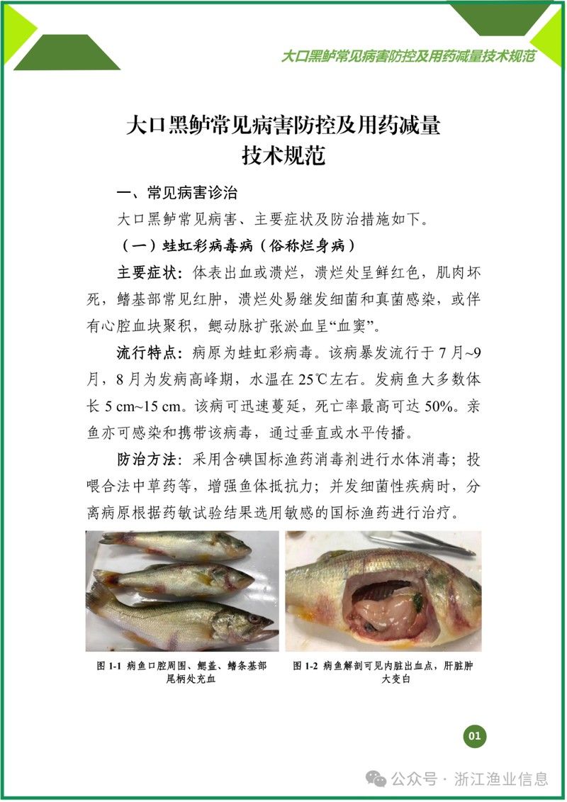 如何預防龍魚用藥過量？（_大口黑鱸常見病害防控及用藥減量技術）
