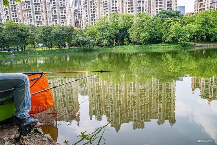 佛山長龍魚場的營業(yè)時(shí)間是（佛山長龍魚場的營業(yè)時(shí)間是多久？）