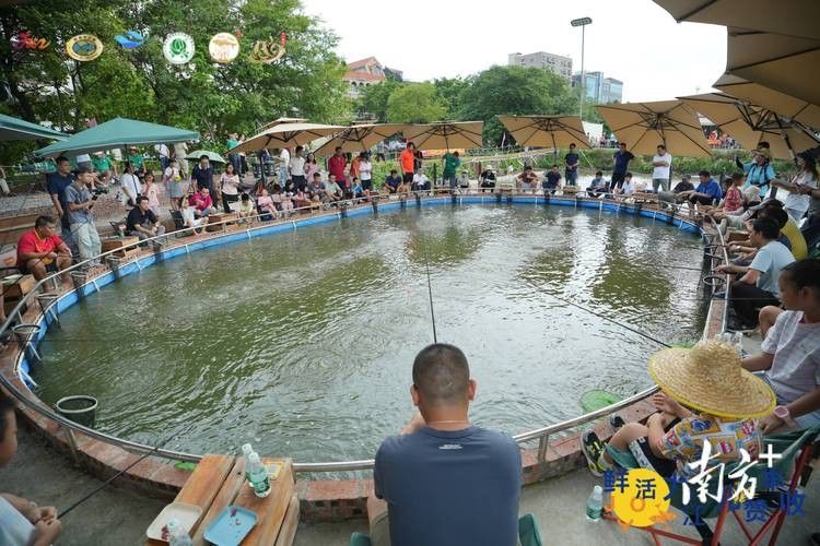 佛山長龍魚場的營業(yè)時(shí)間是（佛山長龍魚場的營業(yè)時(shí)間是多久？）