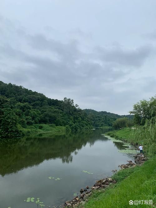 佛山長龍魚場的營業(yè)時(shí)間是（佛山長龍魚場的營業(yè)時(shí)間是多久？）