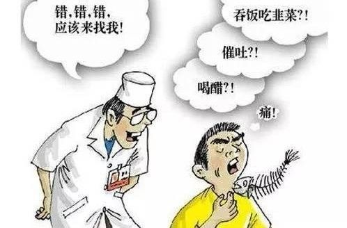 金龍魚口腔卡異物手術(shù)風(fēng)險(xiǎn)大嗎（金龍魚口腔卡異物手術(shù)的風(fēng)險(xiǎn)評估） 金龍魚口腔卡異物手術(shù)風(fēng)險(xiǎn)大嗎（金龍魚口腔卡異物手術(shù)的風(fēng)險(xiǎn)評估） 龍魚百科 第6張