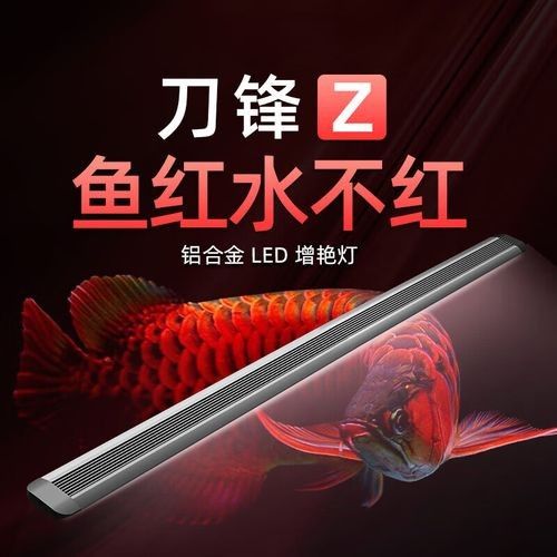 推薦幾款適合紅龍養殖的LED燈（紅龍養殖led燈具推薦）