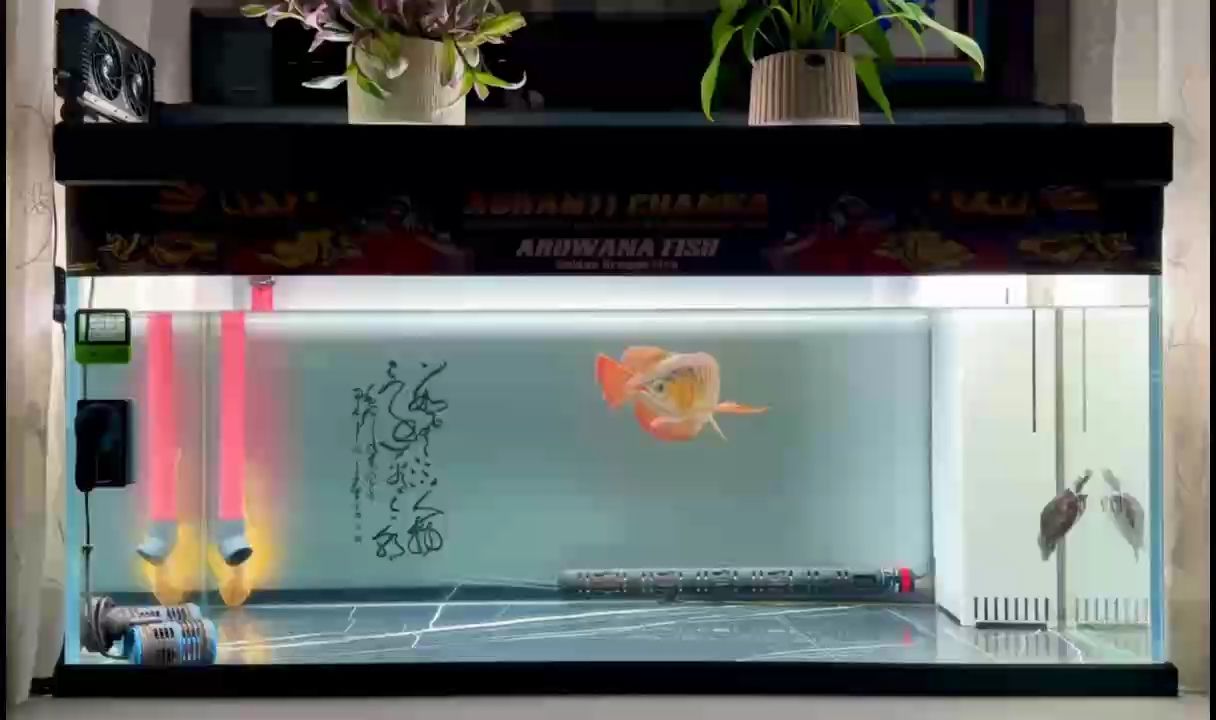 《龍缸月·秋思》（《龍缸月·秋思》是一首充滿詩意和深度的詩歌）