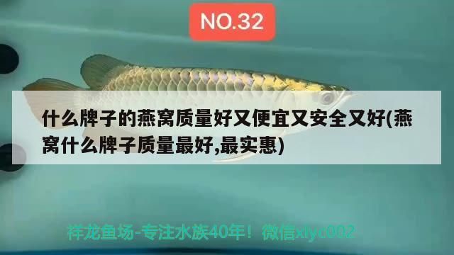 金龍魚發色燈照時間（金龍魚發色用什么燈）（養殖金龍魚的技巧）