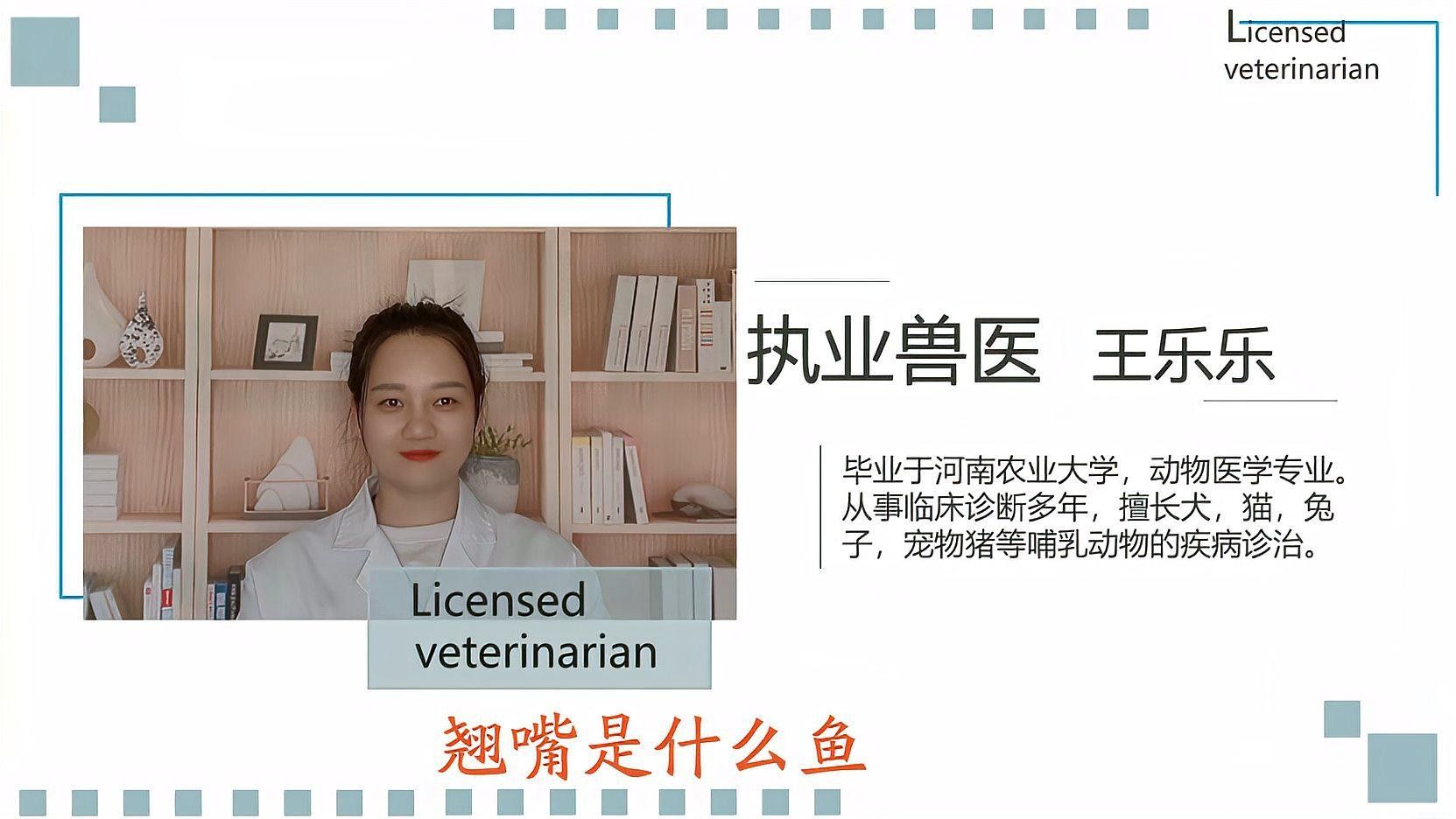 如何區(qū)分翹嘴魚和金龍魚（嘴魚和金龍魚是兩種非常相似的魚類，如何區(qū)分翹嘴和白條的區(qū)別）