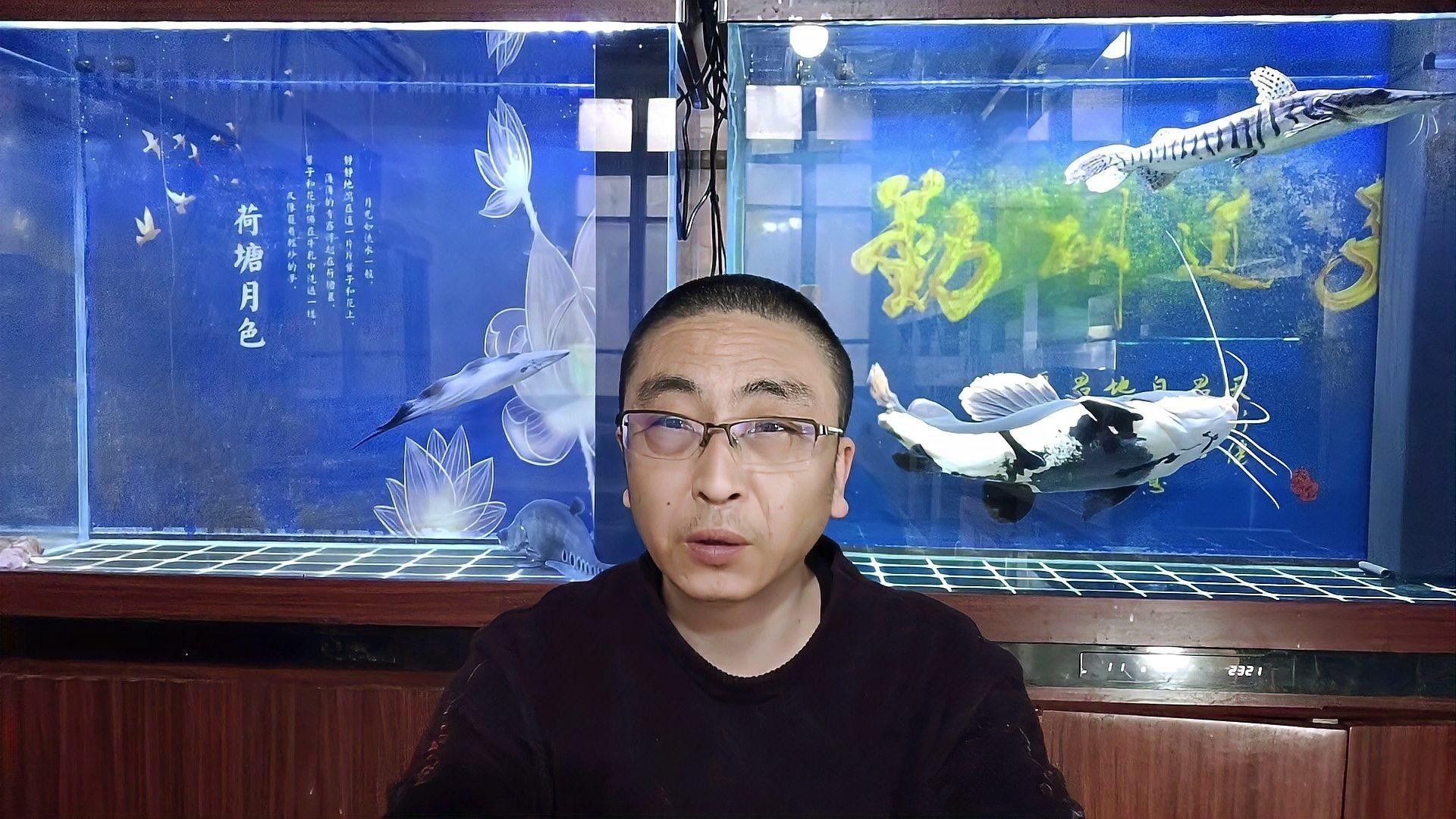 麻章龍魚有哪些獨特的特征，湖光巖傳說生物的探秘攻略，麻章龍魚有哪些獨特的特征