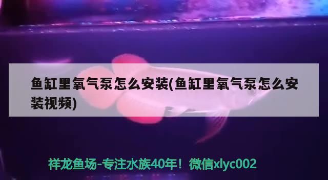 濱州魚缸哪家價格實惠，煤氣灶突然炸了怎么處理（去濟(jì)南旅游，有什么好的建議？）