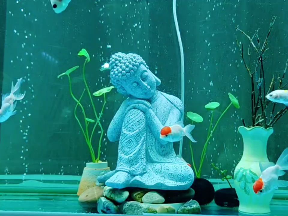 國慶，這次有不同（氣泡輔景）（國慶氣泡輔景設計）