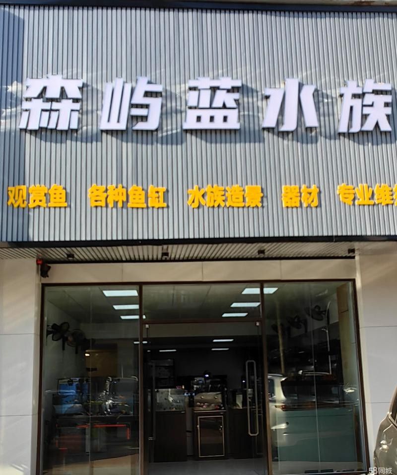 龍魚世家有在線服務嗎？ 龍魚世家有在線服務嗎？ 龍魚百科 第1張