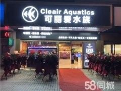龍魚世家有在線服務嗎？ 龍魚世家有在線服務嗎？ 龍魚百科 第2張