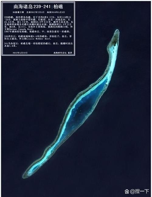 如何為曼龍魚提供天然洞穴（為曼龍魚提供天然洞穴的建議）