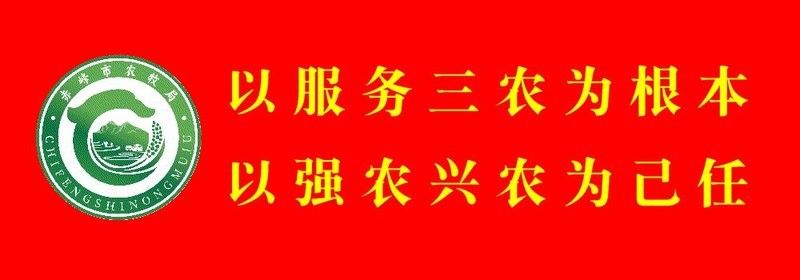 龍魚疾病預防措施有哪些