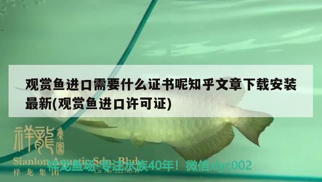 觀賞魚進(jìn)口需要什么證書呢知乎文章下載安裝最新(觀賞魚進(jìn)口許可證)