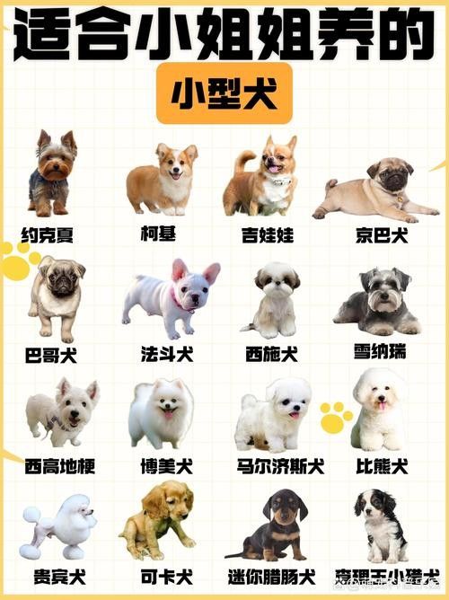 哪些混養方案最適合新手 龍魚百科 第4張 哪些混養方案最適合新手 哪些混養方案最適合新手 龍魚百科 第4張