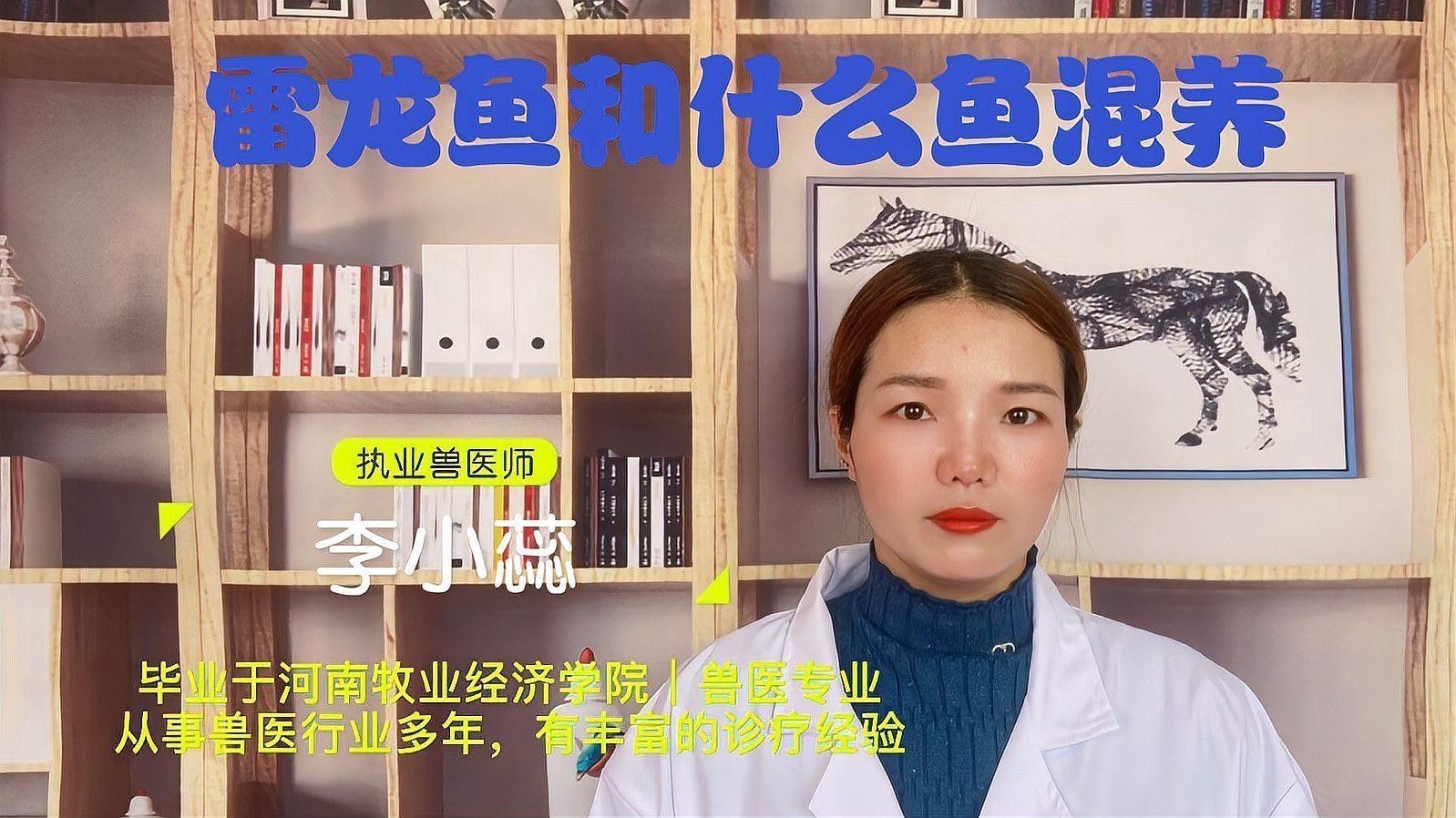 雷龍魚可以混養嗎？ 雷龍魚可以混養嗎？ 龍魚百科 第2張