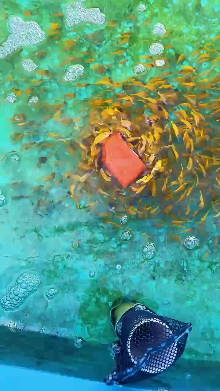 臺風都沒有你轉得快