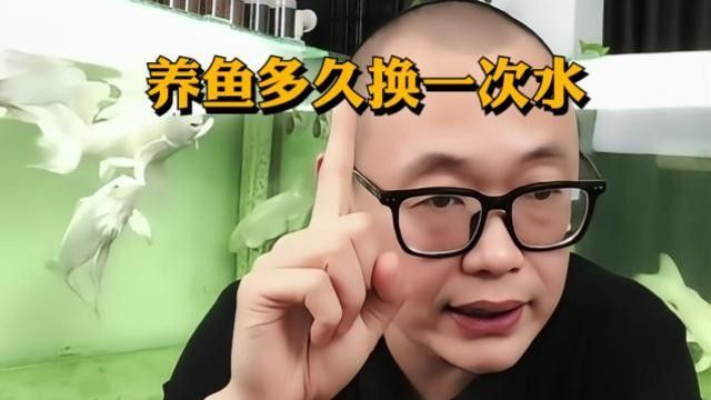 白子過背金龍魚多久換一次水？（白子過背金龍魚多久喂一次水？） 白子過背金龍魚多久換一次水？（白子過背金龍魚多久喂一次水？） 龍魚百科 第9張