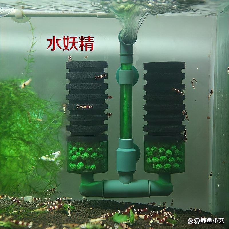 繁殖缸中需要哪些設備
